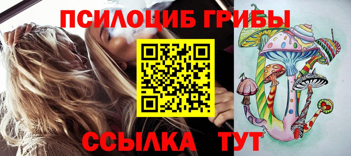 Бутурлиновка  Галлюциногенные грибы Psilocybe  Вход с VPN 