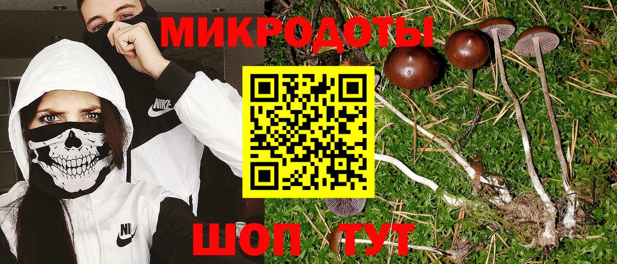 Псилоцибиновые грибы GOLDEN TEACHER Бутурлиновка